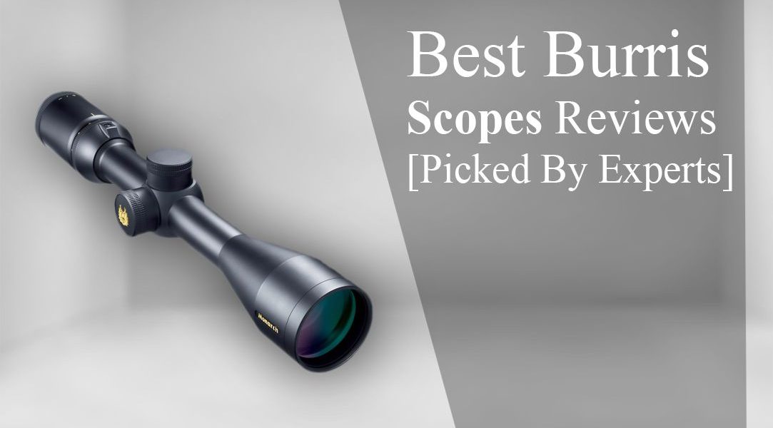 Burris Scopes Reviews in 2020 – Top Picks & Test Results